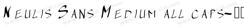Neulis Sans Medium all caps字体转换